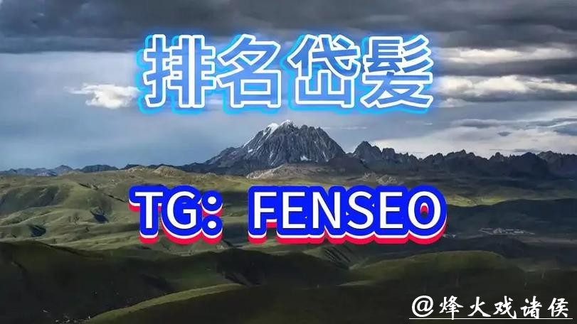 世界杯买球平台对比：哪个更适合你